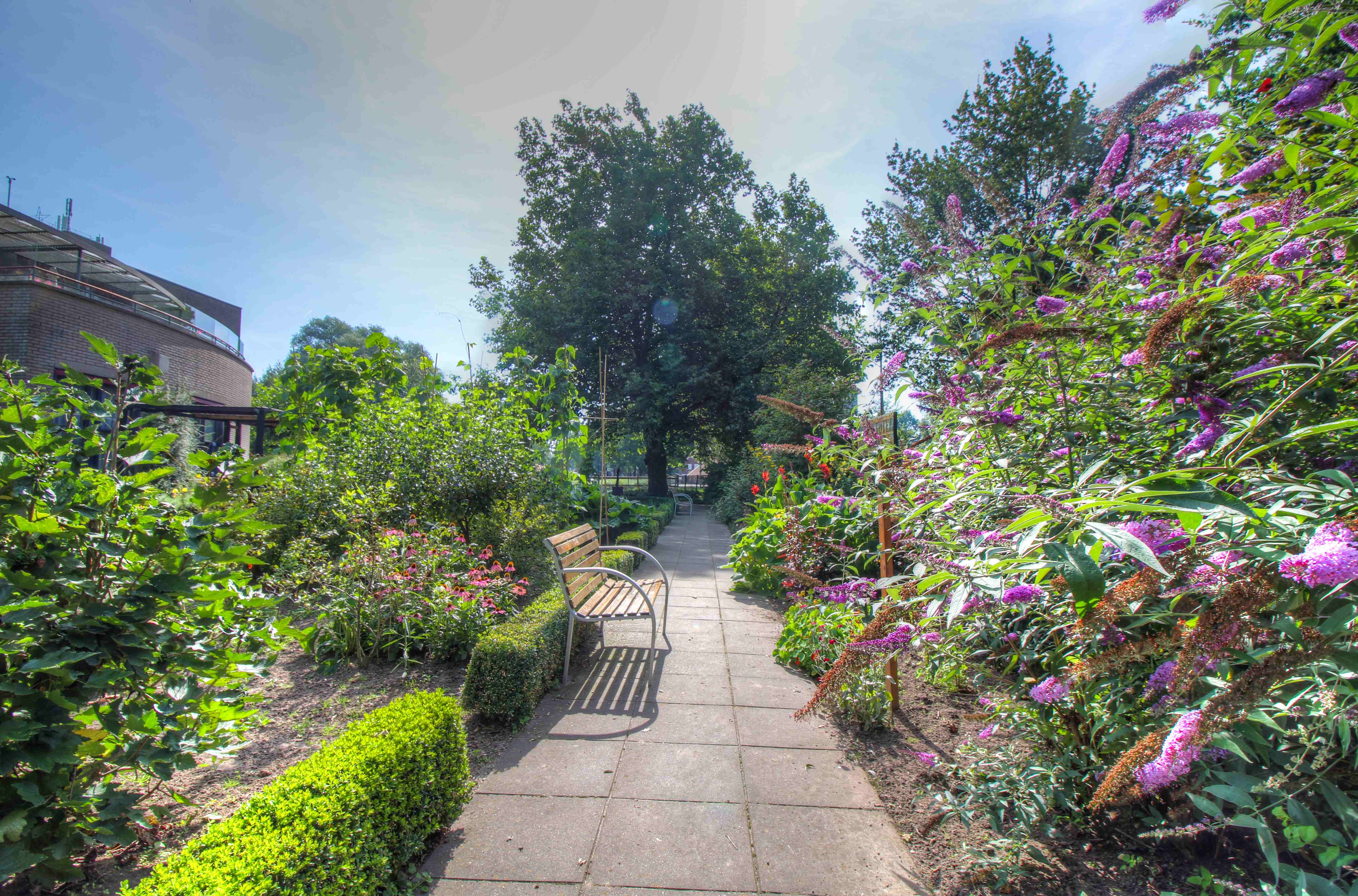 9hd360   de stoevelaar sfeerfoto's (28 van 32) vlindertuin